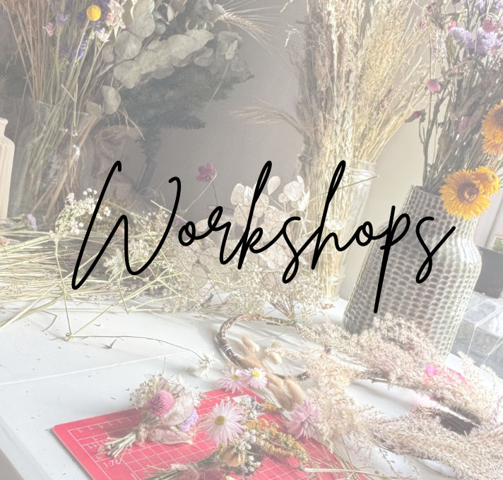 Workshops